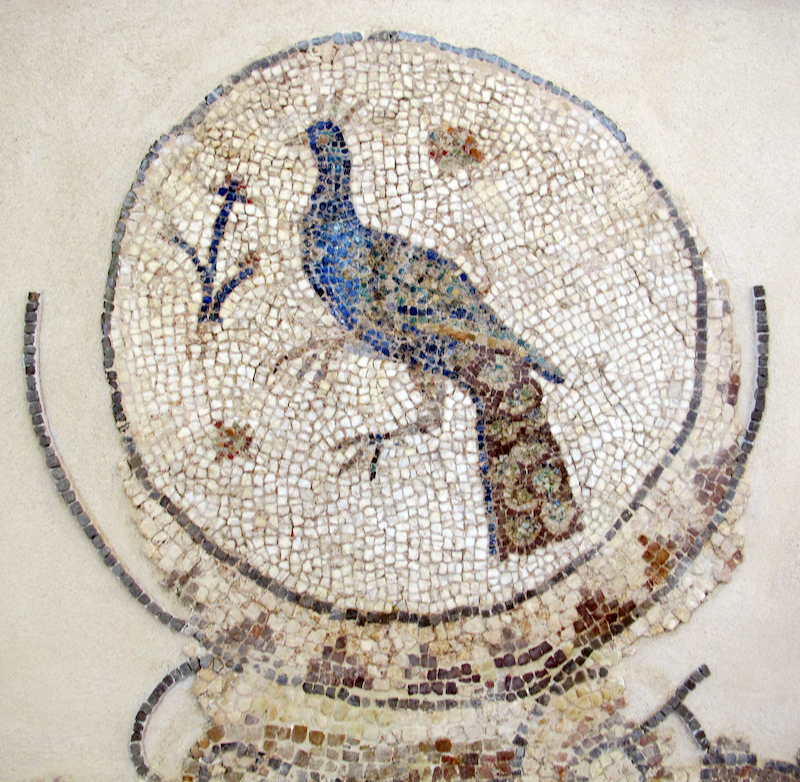 Early Christian peacock